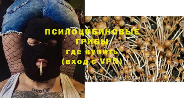 индика Строитель