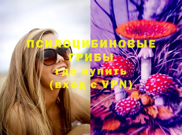 бошки Ступино