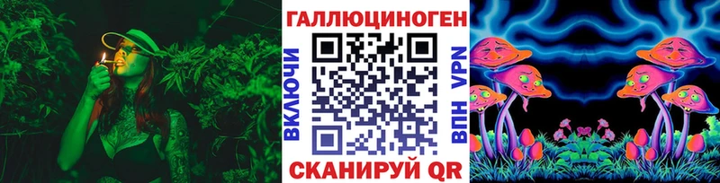 Купить  Мценск  Галлюциногенные грибы Cubensis 